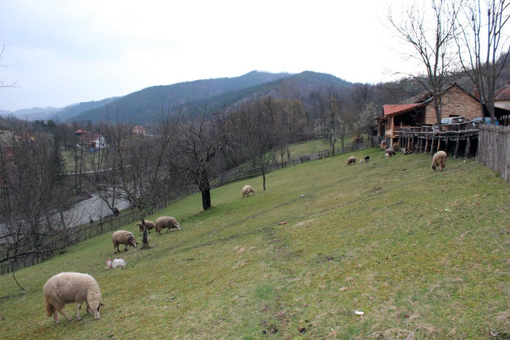 Ethno Village Bogut Bogutovac Экстерьер фото